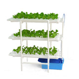 Hydroponic Plant System